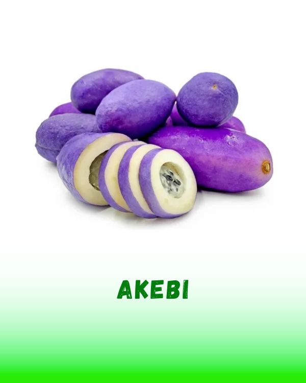 AKEBI