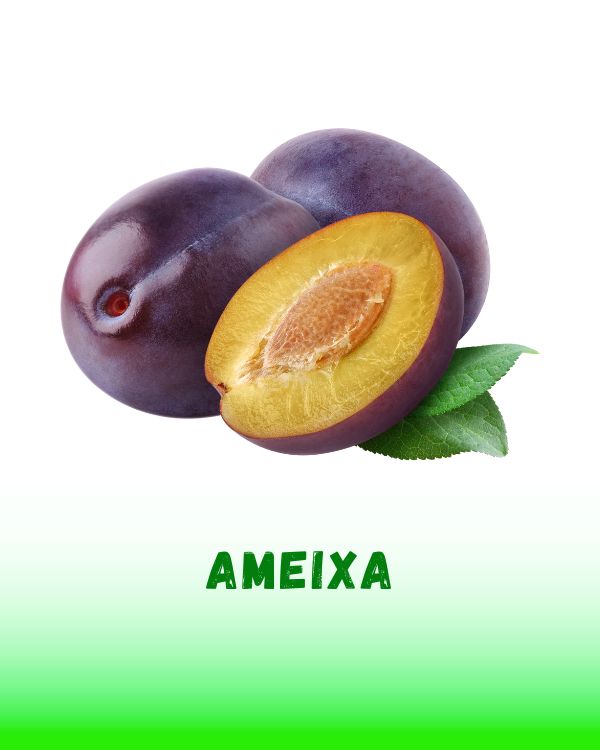 AMEIXA