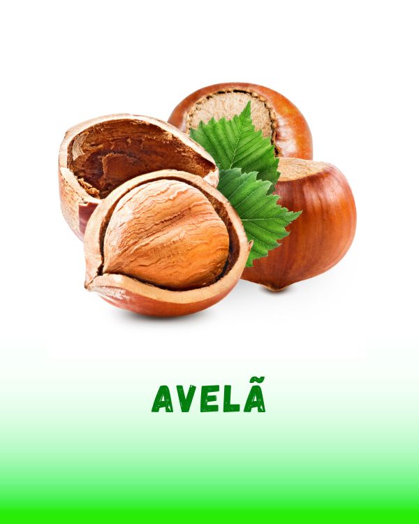 AVELA