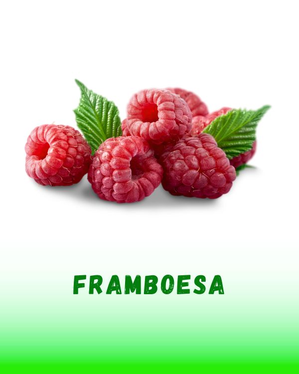 FRAMBOESA