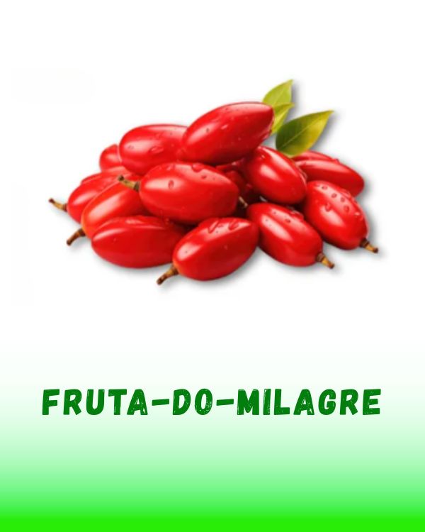 FRUTA DO MILAGRE