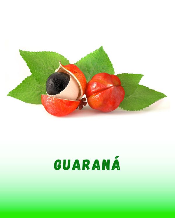 GUARANA