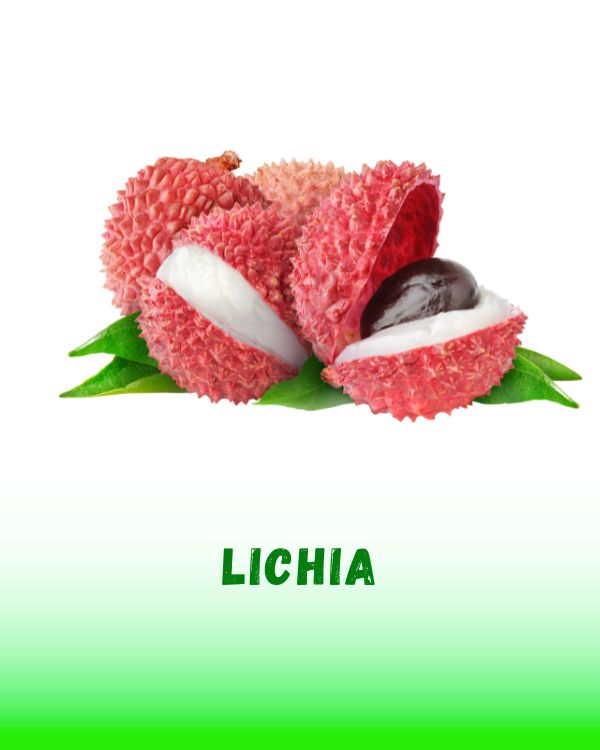 LICHIA