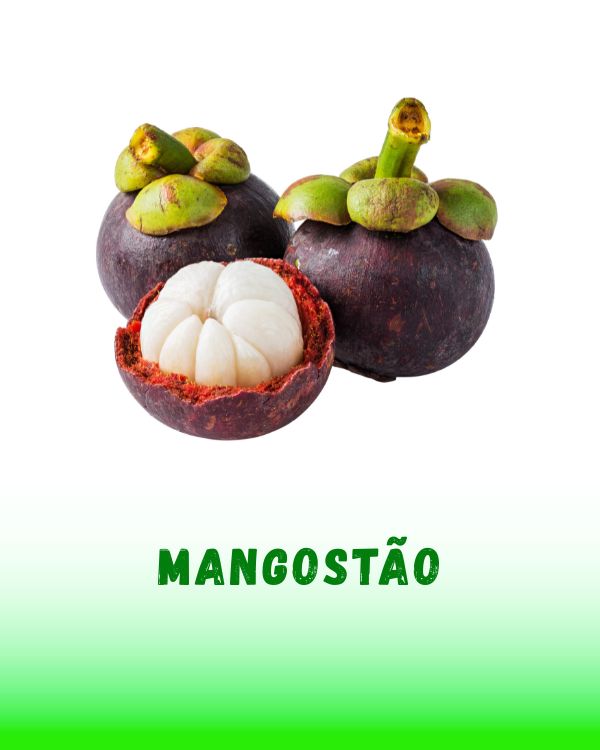 MANGOSTAO