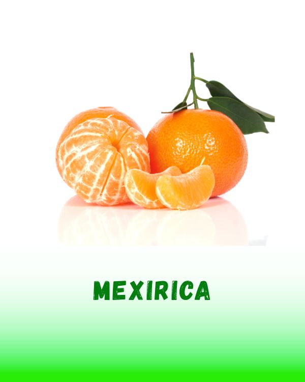 MEXIRICA