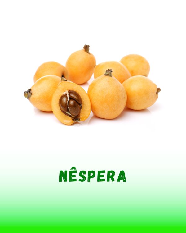 NESPERA