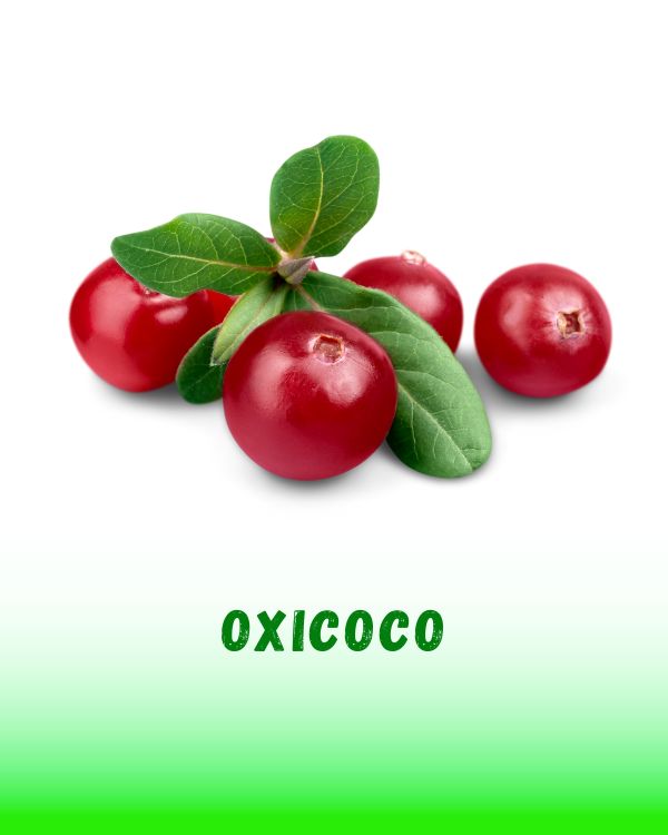 OXICOCO