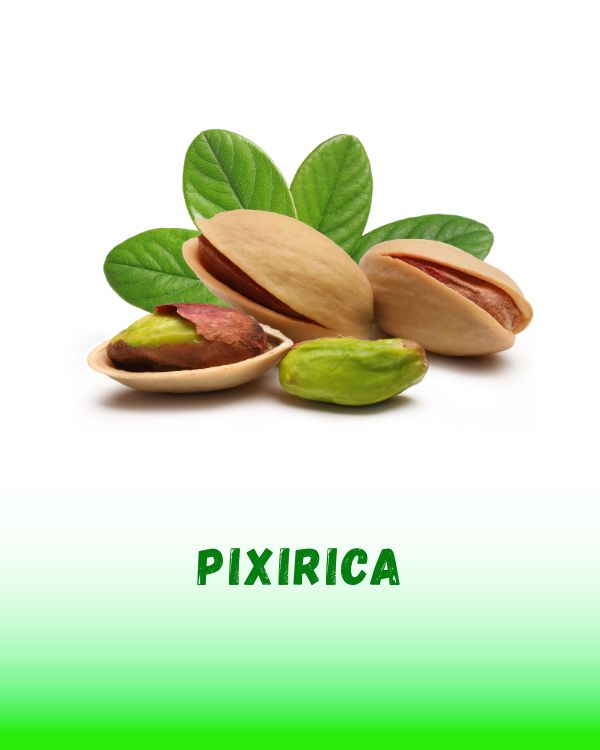 PIXIRICA