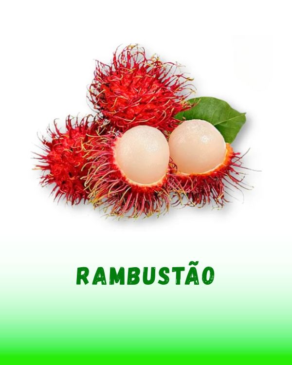 RAMBUSTAO
